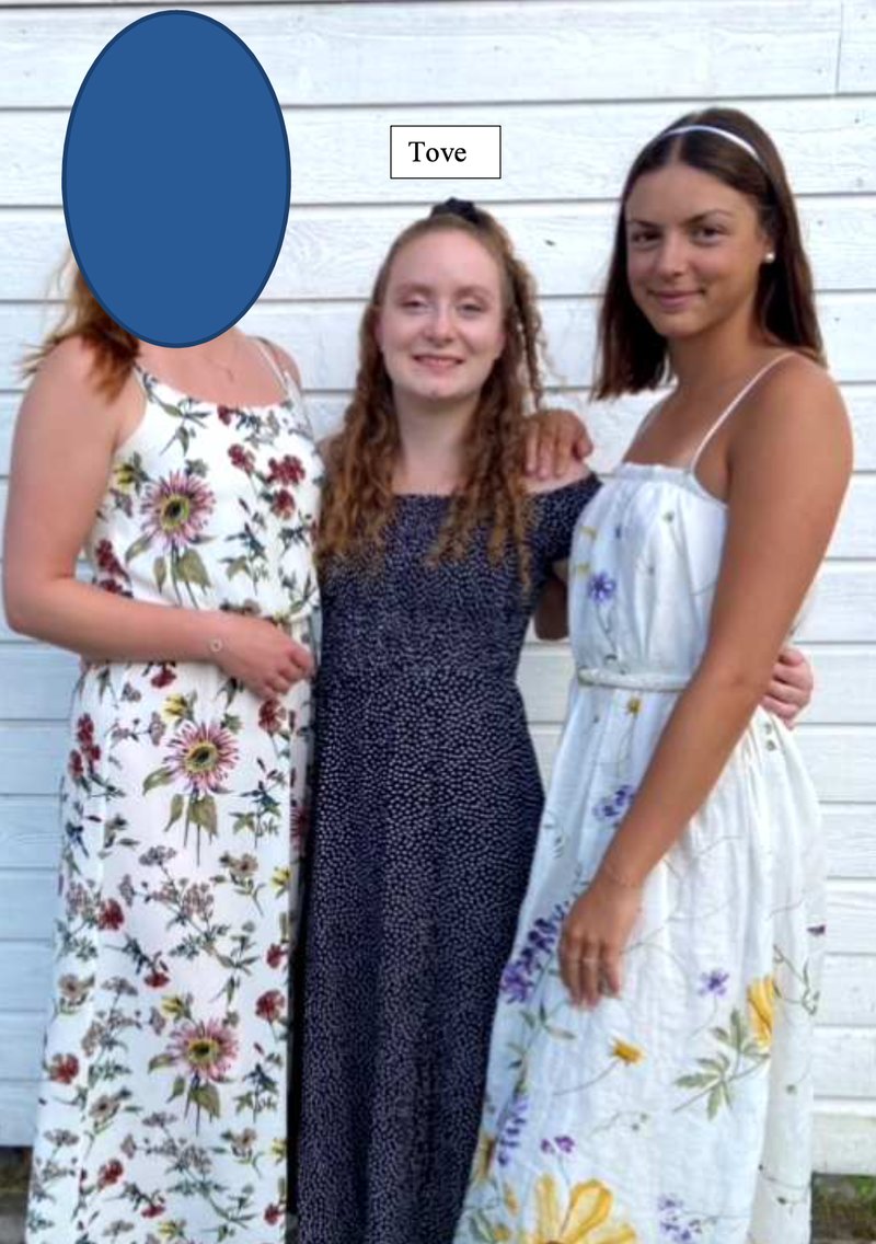 Tove och Johanna Leshem Jansson var tidigare goda vänner. Foto: Polisen Tove och Johanna Leshem Jansson var tidigare goda vänner. Foto: Polisen
